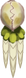 抱脸虫
